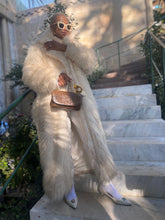 Load image into Gallery viewer, ##AW25 : CHINCHILLA FAUX COAT